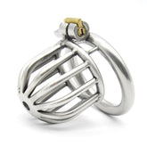 Asylum Chastity Cage Male Chastity