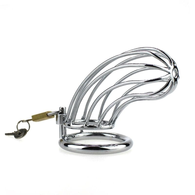 BDStyle Caged Tiger Chastity Device Male Chastity