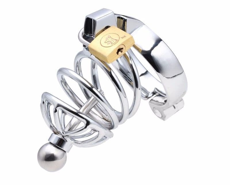 Instituted Cock Cage & Penis Plug Male Chastity