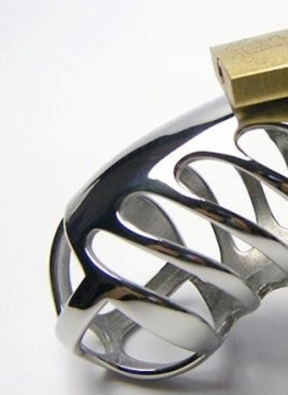 The Cartilage Chastity Device with Dual Ring Male Chastity