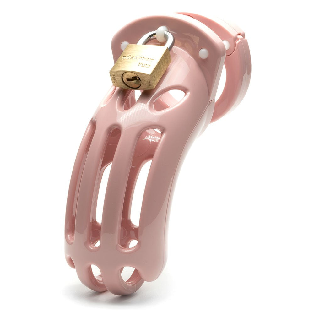 The Curve Chastity Cock Cage Kit - Secure Your Intimacy in Style Male Chastity