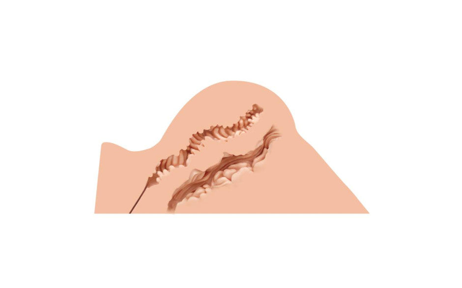 Naked Factory Hannah Realistic Looking Butt Stroker Masturbators and Strokers