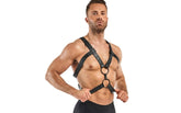 Bedroom Fantasies Rocco BDSM Play Harness Black Cuffs And Restraints