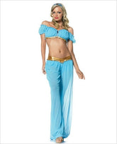 Arabian Princess Costume Fancy Dress Ups