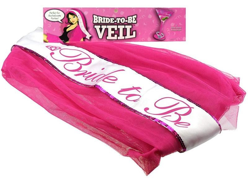 Bride to Be Veil Pink Bachelorette and Bucks