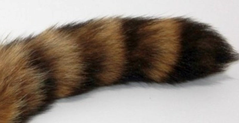 Brown Faux Fox Tail Ribbed Silver Butt Plug Steel Sex Toys