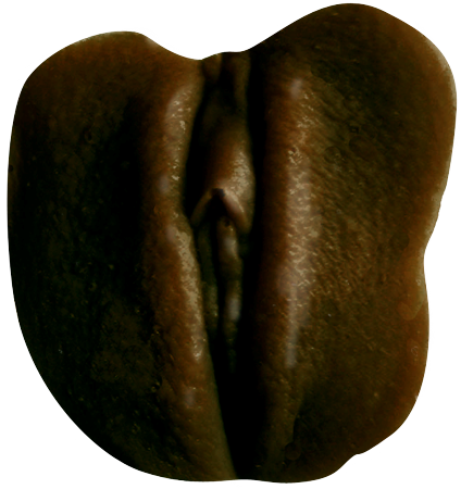 Clone-A-Pussy Edible Milk Chocolate Moulding Kits