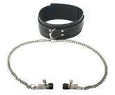 Coveted Collar And Clamp Union Collars and Leads