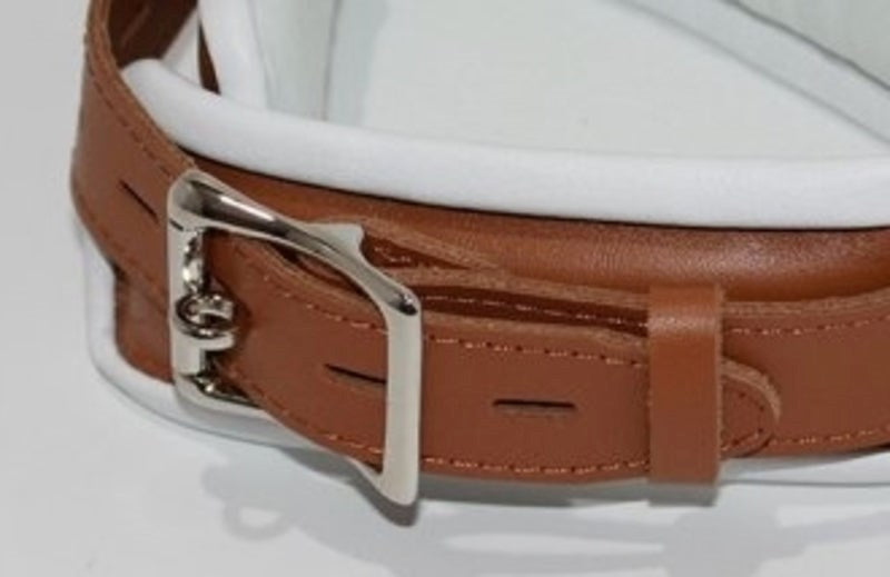 Dungeon Delights Asylum Collar Padded Collars and Leads