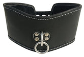 Edge Soft Leather Posture Collar Collars and Leads