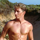 Falcon Super Cock Sean Davis Realistic Dildos