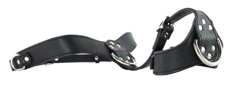 Female Chest Harness Her Fetish