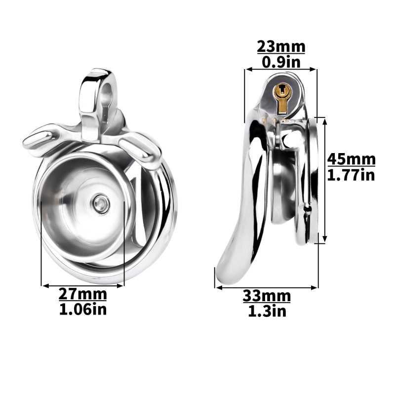 BDStyle M Flat Metal Male Chastity Device Inverted Male Chastity
