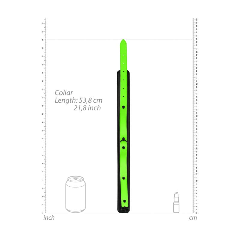 OUCH! Glow in Dark Collar and Leash Collars and Leads