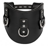Pain Heavy Duty Padded Posture Collar Collars and Leads