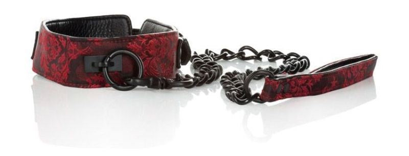 Scandal Collar with Leash Collars and Leads