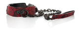 Scandal Collar with Leash Collars and Leads