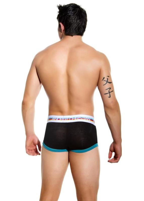 Teaser Boxer Black Large Mens Briefs And Boxers