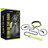 WhipSmart Glow In Dark Collar, Clips + Leash Collars and Leads