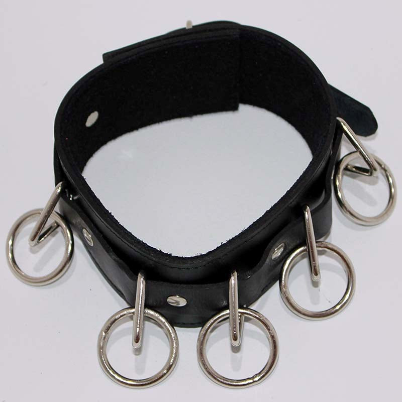 BDStyle Wild Cat BDSM Pleasure-Control Collar-Lead Ensemble Collars and Leads