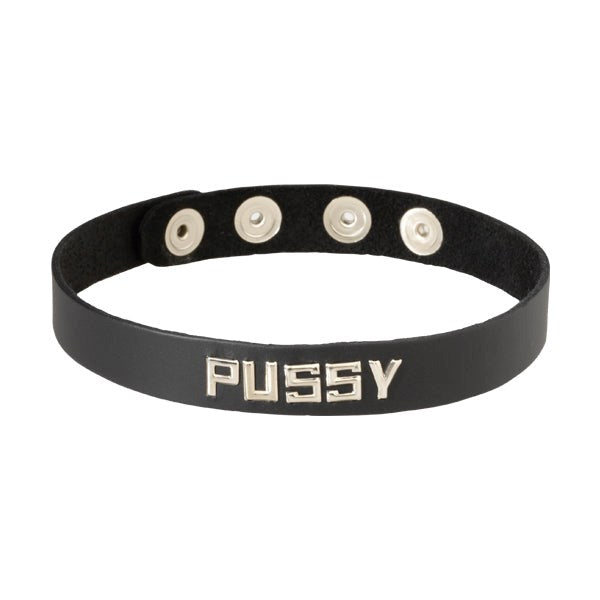 Wordband Collar - PUSSY Fancy Dress Ups