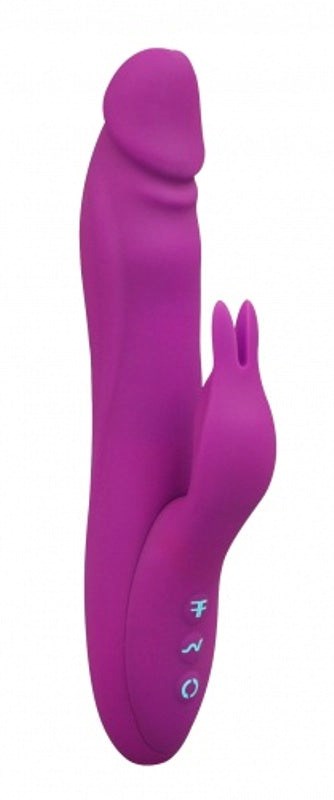 Booster Rabbit Style G-Spot Vibrator - Rabbit Vibrators