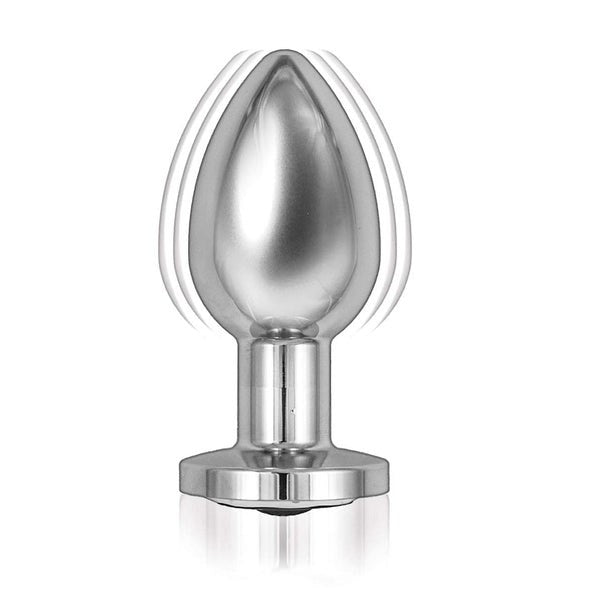 Nasstoys Premium Remote-Controlled Vibrating Metal Plug Butt Plugs