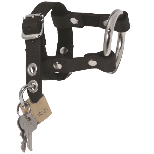 Spartacus Enterprises - Locking Leather & Steel Chastity Harness Male Chastity