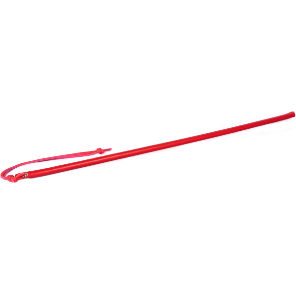 Spartacus Premium Leather Wrapped Discipline Cane Whips And Crops