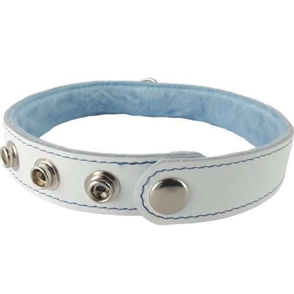 Spartacus Premium Blue Fur-Lined Leather Collar Collars and Leads