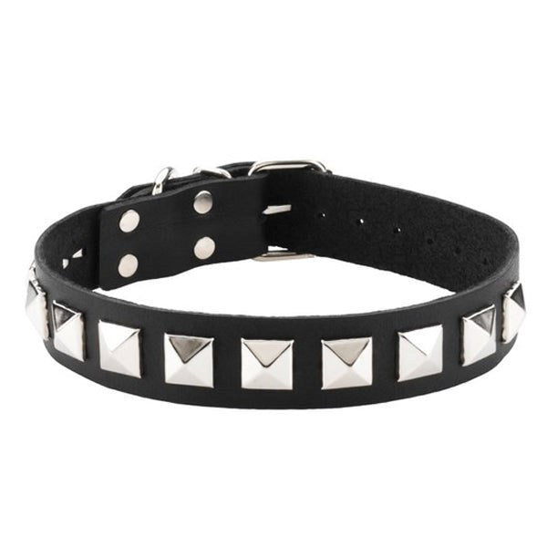 Spartacus Studded Single Strap D-Ring Control Collar Collars and Leads