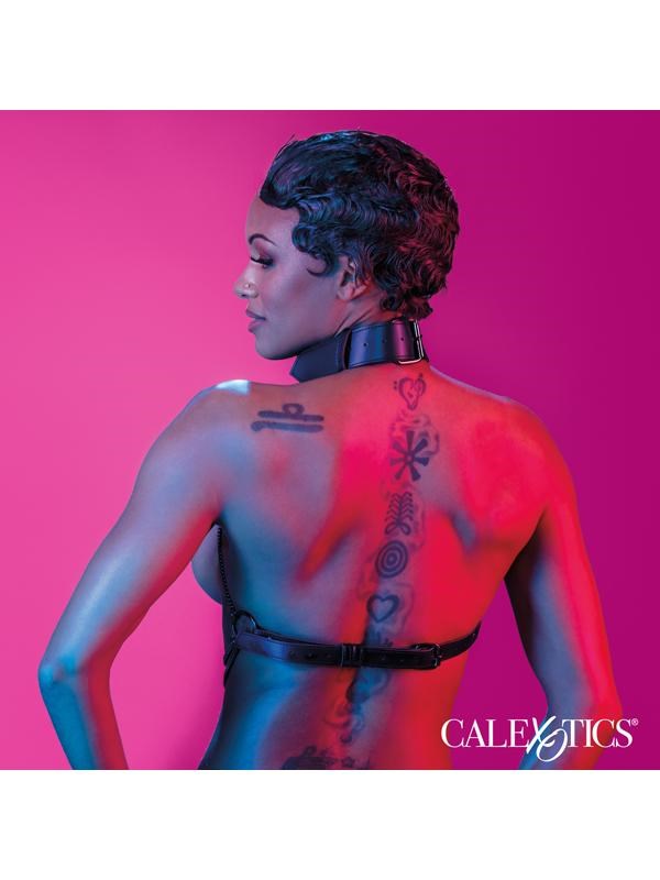 Euphoria Collection Multi Chain Fetish Collar Harness Collars and Leads