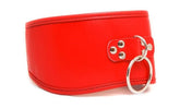 Posture Collar with O Ring Collars and Leads