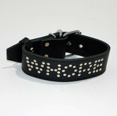 WHORE Leather Bondage Collar Collars and Leads