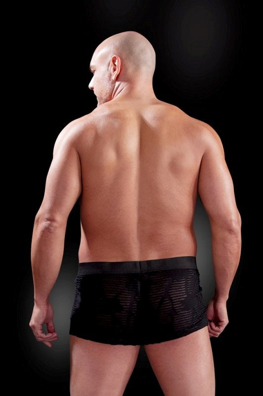 Fetish Fantasy Mens Fetish Play See-Thru Sexy Boxer Mens Briefs And Boxers