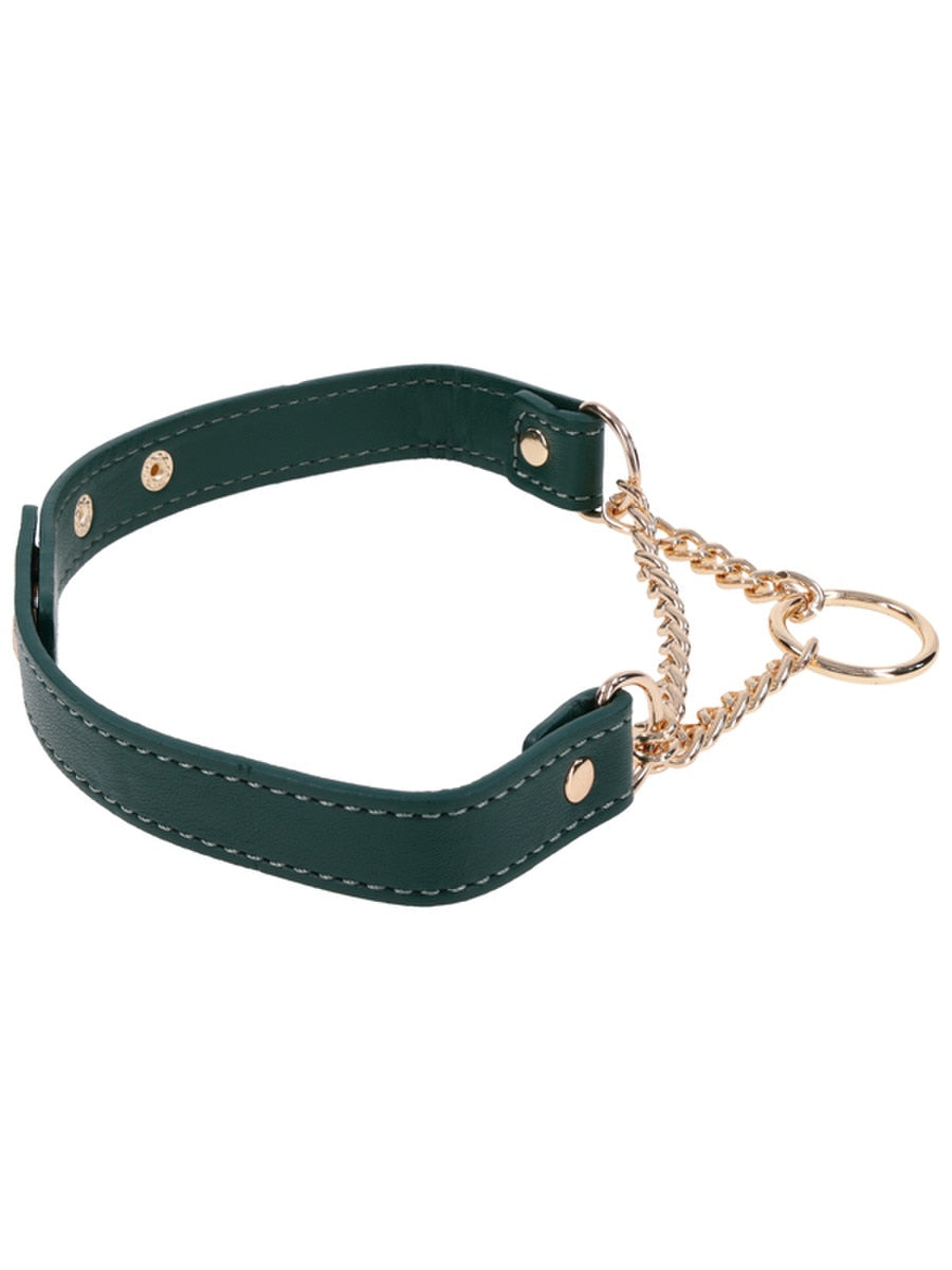 Sportsheets Indica Day Faux Leather Bondage Collar Collars and Leads