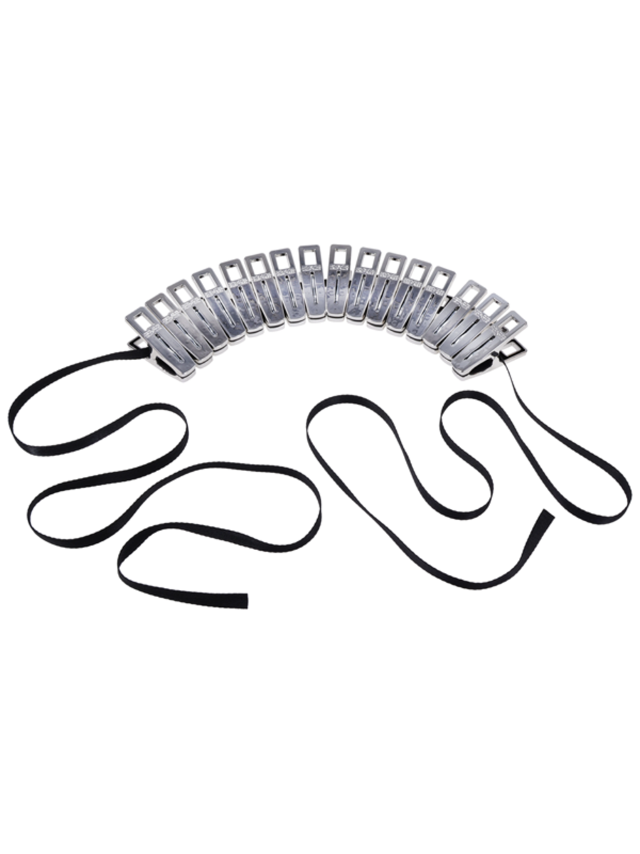 Sportsheets Edge Body Zipper Clothes Pins - Her Fetish