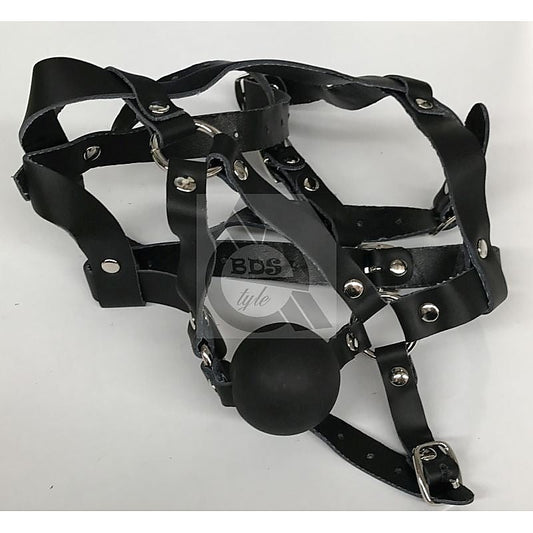 The Crucible Face Harness