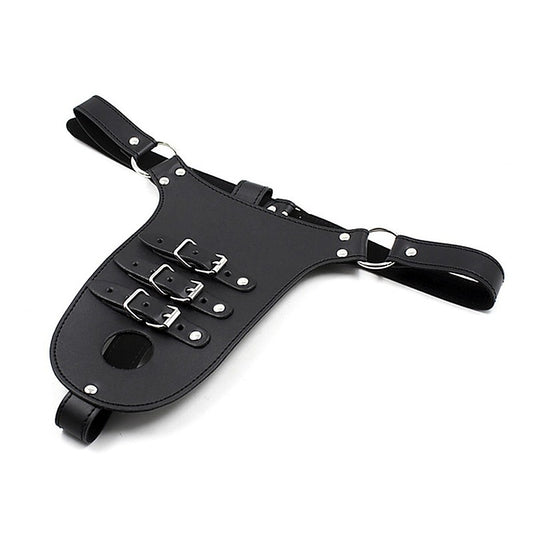 Male Chastity Harness with Penile Straps by BDStyle - Ball and Cock Toys