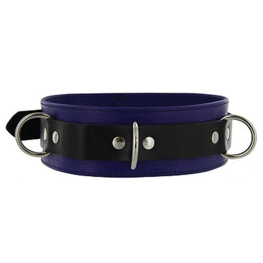 Purple Pleasures BDSM Collar with Studs O-Rings - Collars and Leads