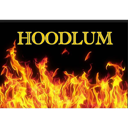 Hoodlum 13" Veiny Dong Flesh