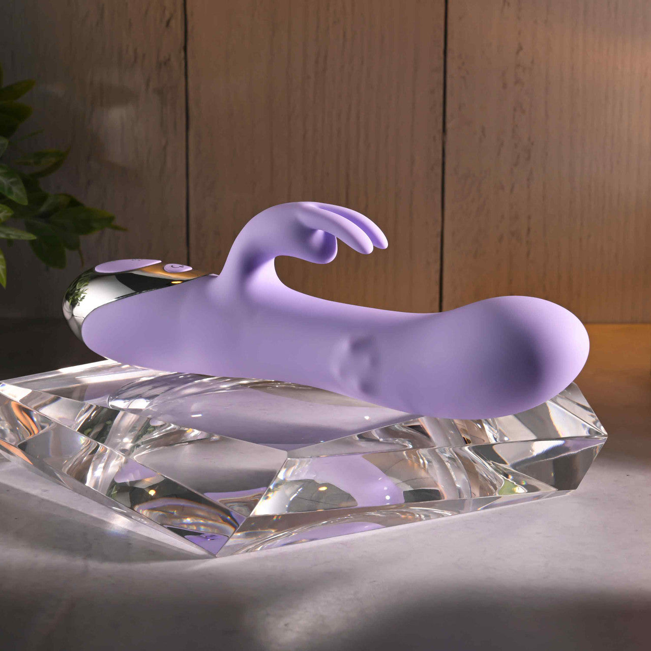 Evolved SPINDERELLA USB Rechargeable Rabbit Vibrator Rabbit Vibrators
