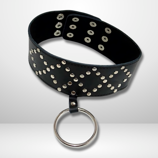 Submissive Allure - Wyred Slave Studded Posture Collar by BDStyle Collars and Leads