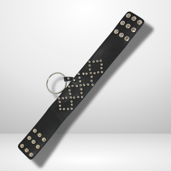 Submissive Allure - Wyred Slave Studded Posture Collar by BDStyle Collars and Leads