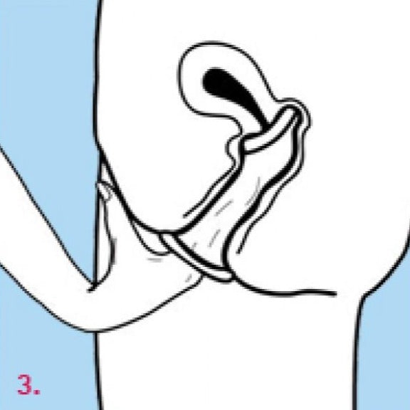 Four Seasons Femidom For Her The Female Condoms 3 Pack Condoms