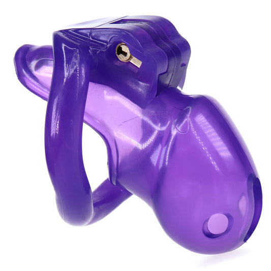 BDStyle HT V3 CB6000S Mens Cock Cage Small Purple Male Chastity