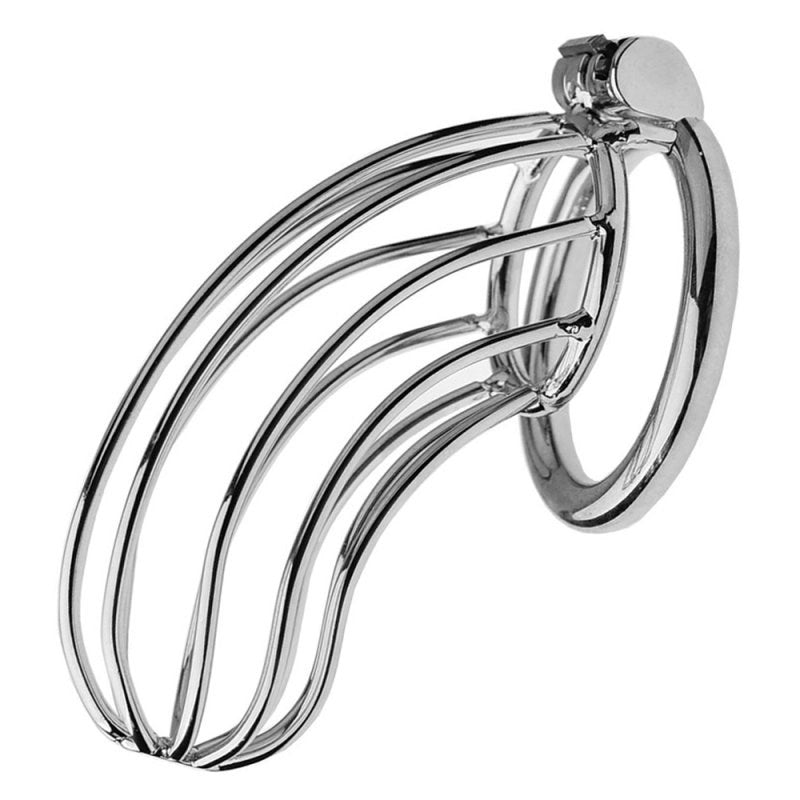BDStyle Caged Tiger Chastity Device Silver Hide Lock Male Chastity