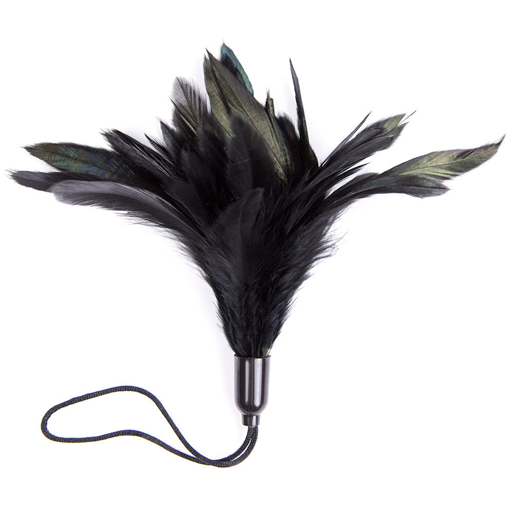 BDStyle Horn Sensory Play Feather Tickler Default Title Ticklers