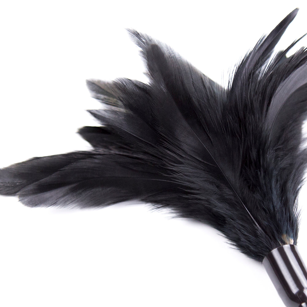 BDStyle Horn Sensory Play Feather Tickler Ticklers