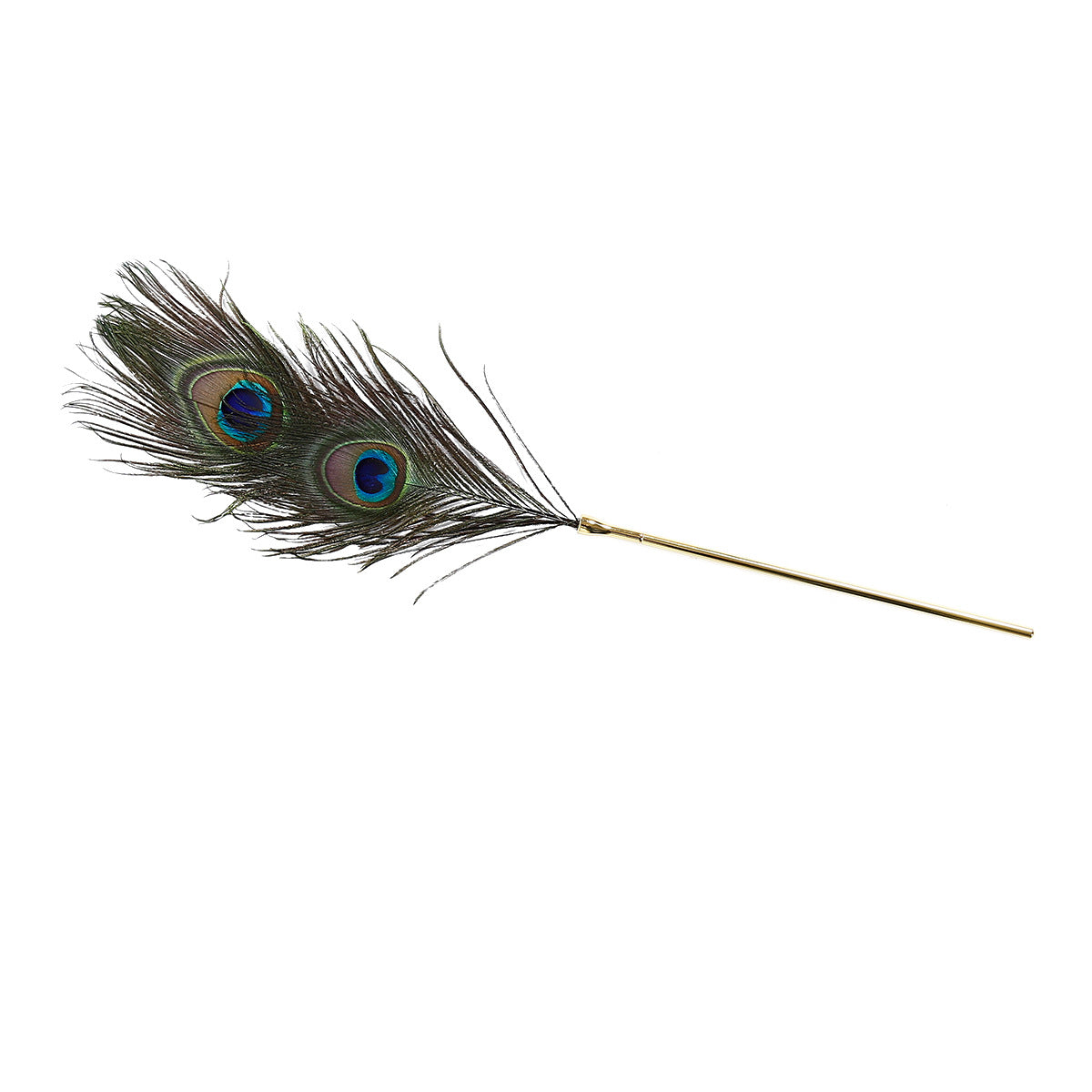 BDStyle BDSM Play Peacock Feather Tickler Ticklers